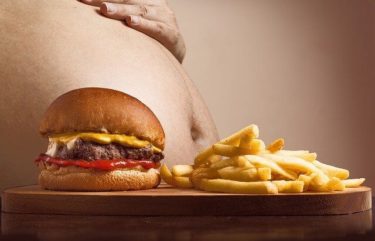 ニュージーランド留学をすると太る？肥満に？体重増加の原因を追究！