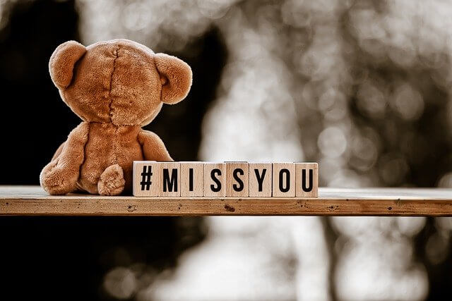 miss you teddy bear