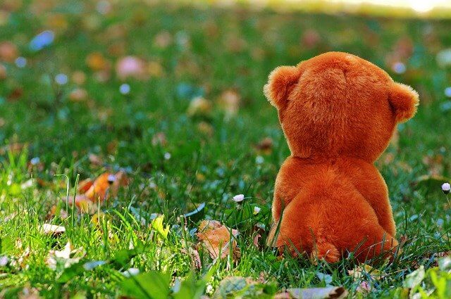 lonely teddy bear