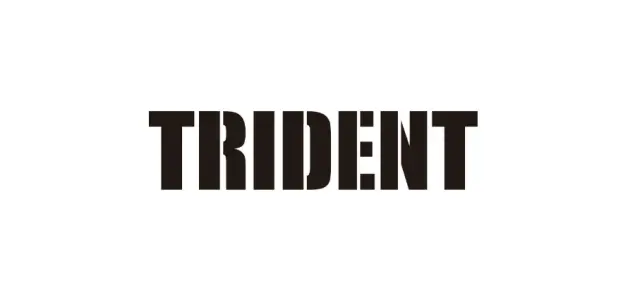 trident(トライデント)のスーツケース